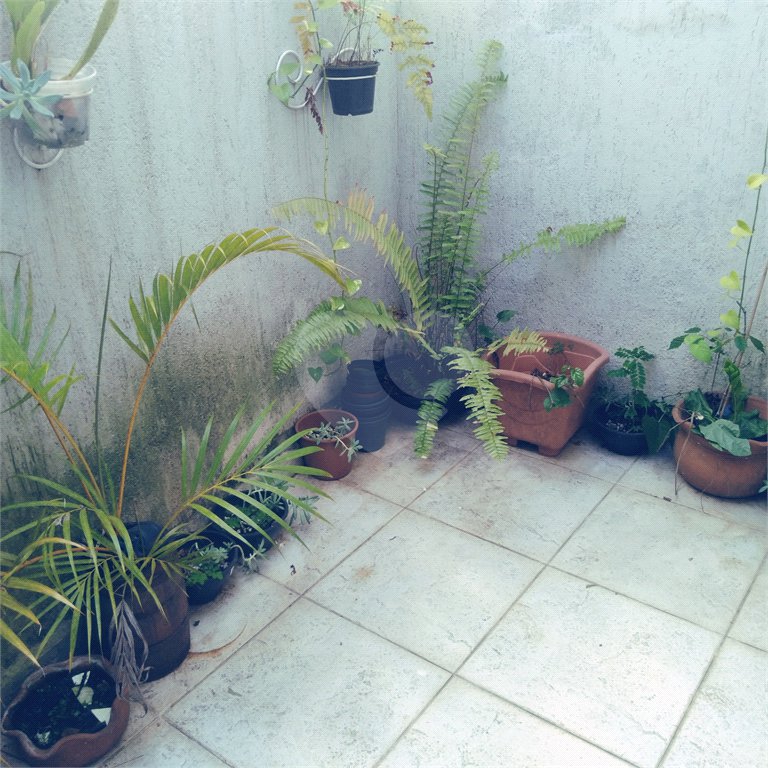 Casa à venda com 3 quartos, sendo 1 suíte, em Santana, São Paulo, SP