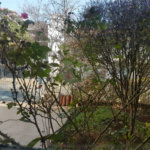 Sobrado à venda com 3 quartos, sendo 1 suíte, em Chácara Santo Antônio (zona Sul), São Paulo, SP