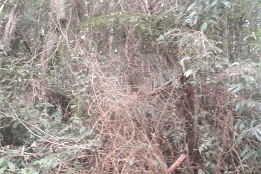 Terreno à venda em Suasalito, Mairiporã, SP