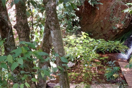 Terreno à venda em Vila Santo Antônio, São Roque, SP