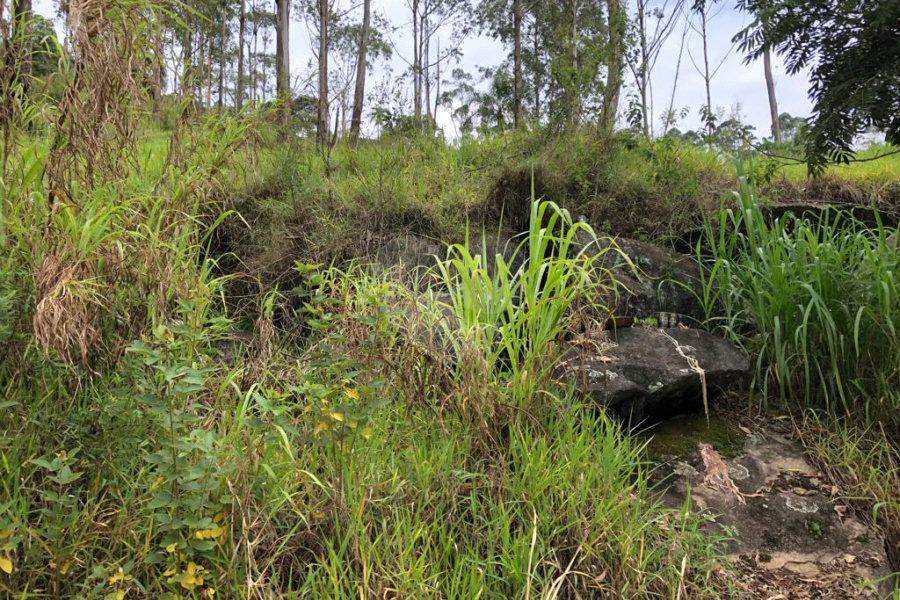 Terreno à venda em Serra da Cantareira, Mairiporã, SP