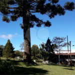 Chácara à venda com 8 quartos, sendo 3 suítes, no Centro, Toledo, MG