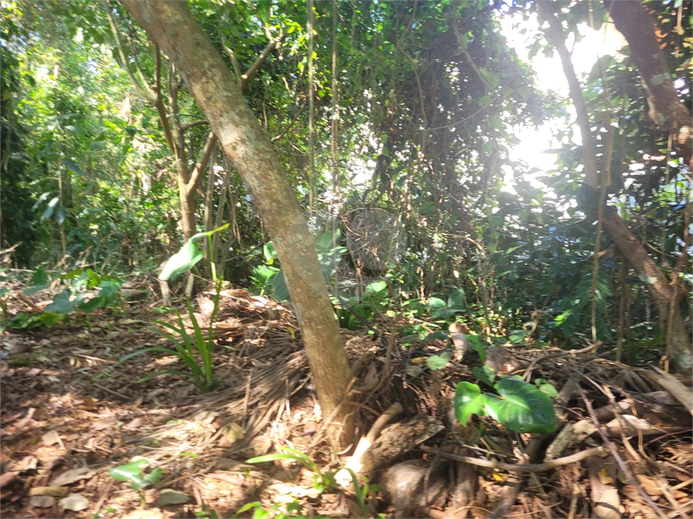 Casa à venda no condomínio Sausalito, Mairiporã - SP