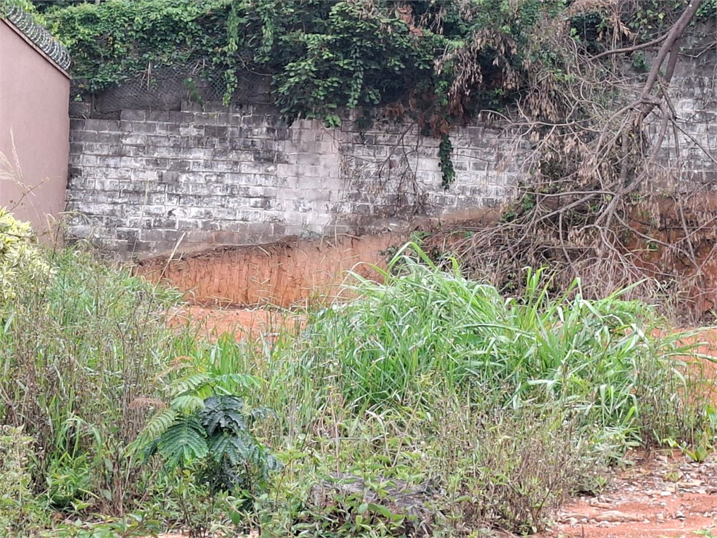 Terreno à venda em Vila Albertina, São Paulo, SP