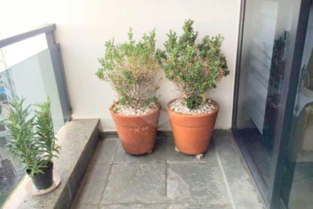 AMPLO APARTAMENTO A VENDA NA REGIÃO DA MOOCA COM EXCELENTE ACABAMENTO