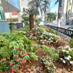 Apartamento com 1 dormitório à venda, 55 m² por R$ 420.000,00 - Pompéia - Santos/SP