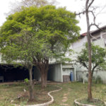 Sobrado à venda com 4 suítes em Alto da Boa Vista, São Paulo, SP