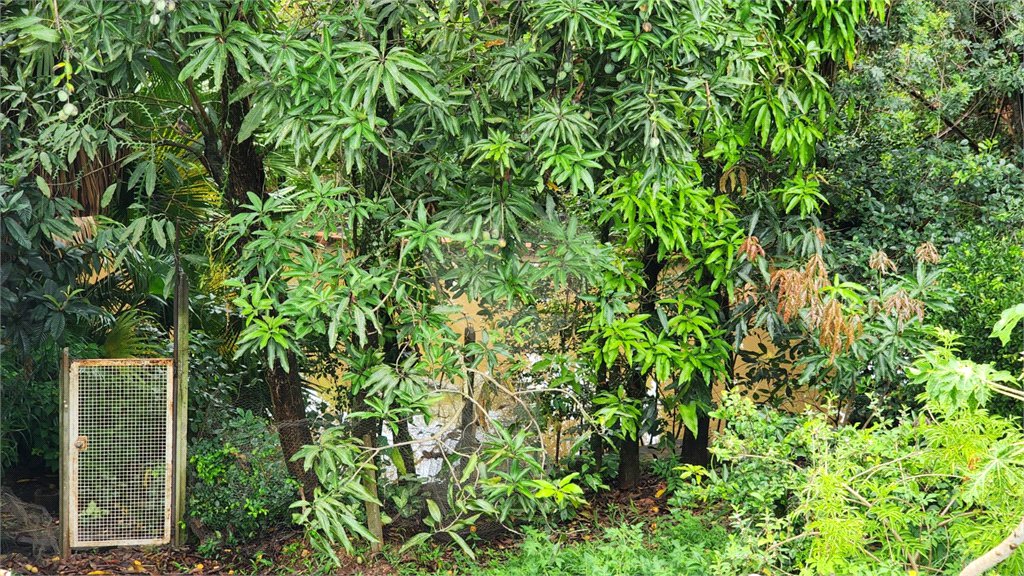 Chácara à venda com 3 quartos, sendo 1 suíte, em Jardim Buru, Salto, SP