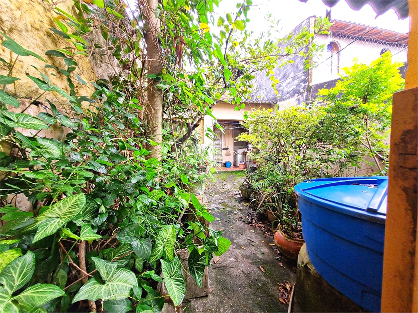 Casa à venda com 3 quartos, sendo 1 suíte, em Horto Florestal, São Paulo, SP