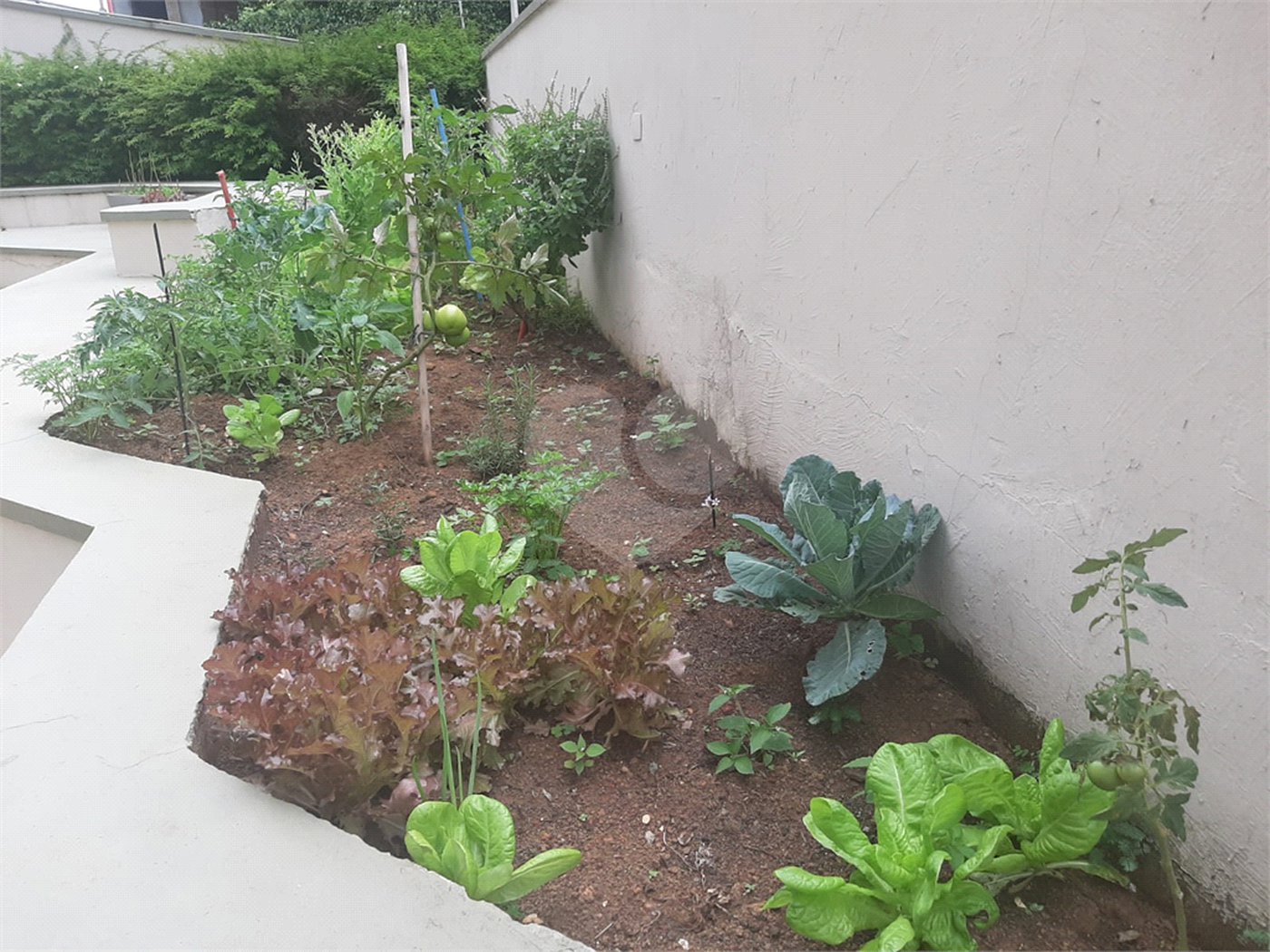 Apartamento à venda com 3 quartos, sendo 1 suíte, em Jardim São Paulo(zona Norte), São Paulo, SP