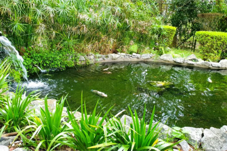 Terreno à venda em Jardim São Vicente, Cotia, SP