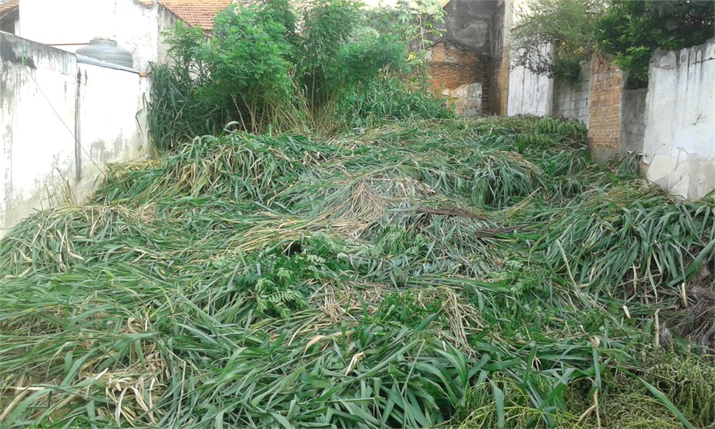 Terreno à venda em Imirim, São Paulo, SP