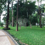 Apartamento à venda com 3 quartos, sendo 2 suítes, em Granja Julieta, São Paulo, SP