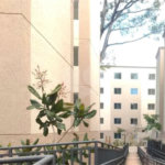 Apartamento à venda com 2 quartos em Tremembé, São Paulo, SP