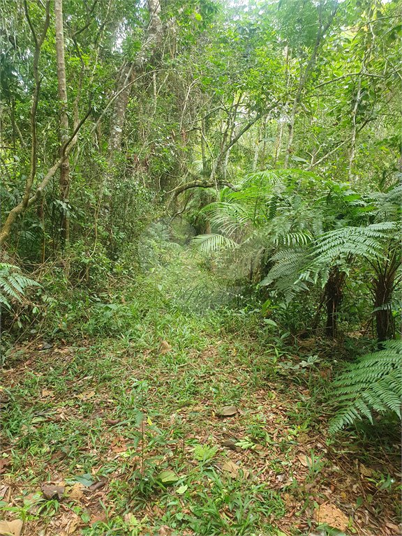 Terreno à venda em Vila Moraes, Mogi das Cruzes, SP