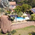 Casa à venda com 5 suítes em Vale das Laranjeiras, Indaiatuba, SP