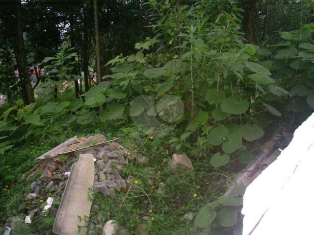 Terreno à venda em Morumbi, São Paulo, SP