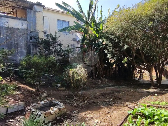 Terreno à venda em Vila Gustavo, São Paulo, SP