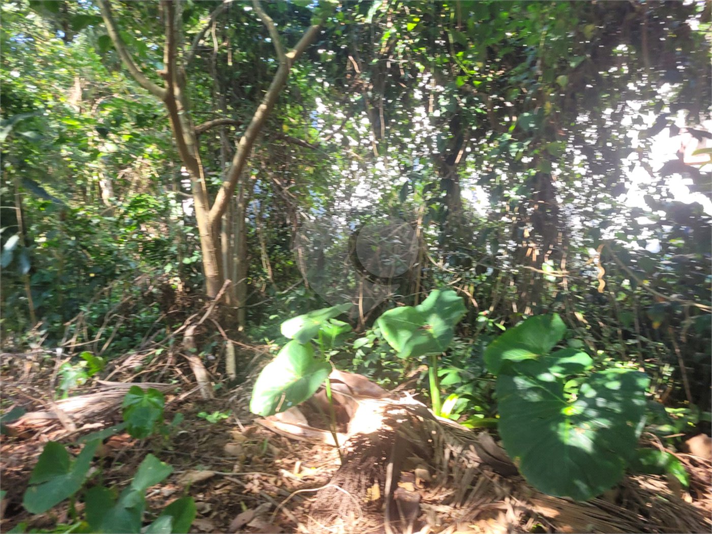 Casa à venda no condomínio Sausalito, Mairiporã - SP