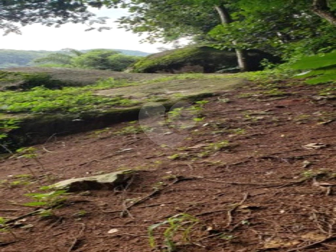 Terreno à venda em Horto, São Paulo, SP