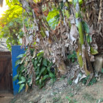Casa à venda com 2 quartos em Tucuns, Armação dos Búzios, RJ