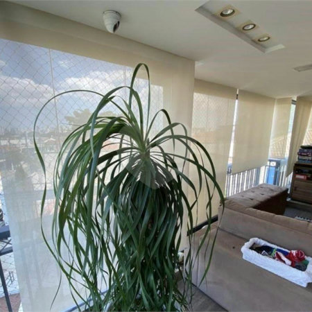 Apartamento à venda com 4 suítes em Vila Maria Alta, São Paulo, SP