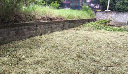 TERRENO À VENDA NA VILA MASCOTE – 250 m²