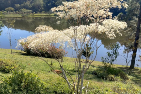 Casa à venda no condomínio Chácaras do Lago, Vinhedo - SP