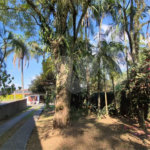 Casa com Piscina, Sauna e Edícula em Rua Arborizada no Tremembé