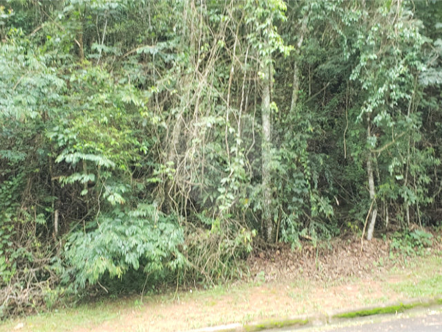 Terreno à venda no condomínio Associação Reserva das Hortênsias, Mairiporã - SP