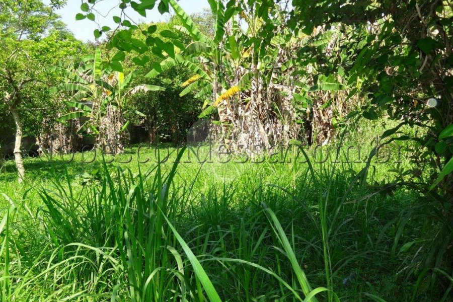 Terreno à venda em Horto Florestal, São Paulo, SP