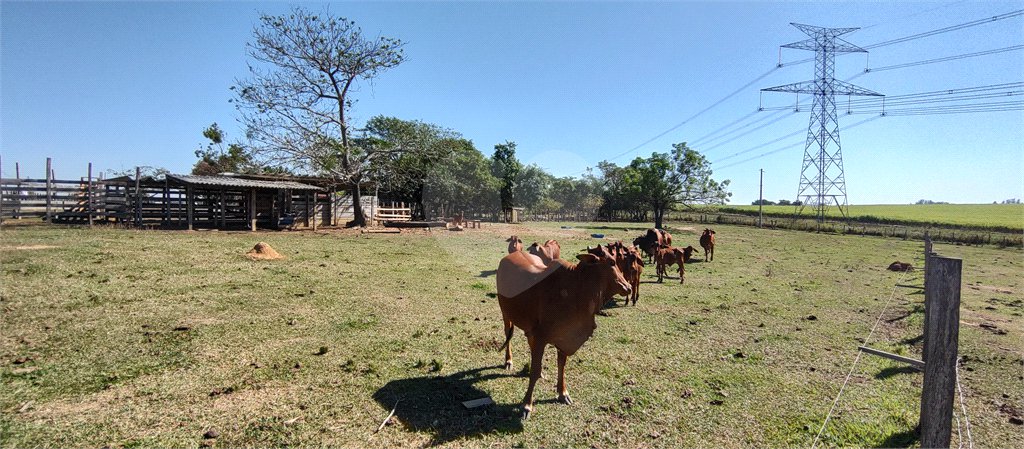 Sítio à venda com 2 suítes em Buru, Salto, SP