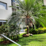 Apartamento à venda com 3 quartos, sendo 1 suíte, em Jardim Marajoara, São Paulo, SP