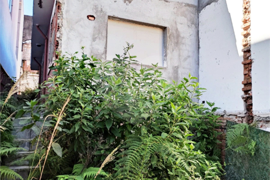 Terreno à venda em Vila Guilherme, São Paulo, SP