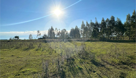 Terreno à venda em Sanga Puita, Ponta Porã, MS