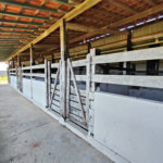 Fazenda para alugar com 3 quartos em Vila Santana, Itapetininga, SP