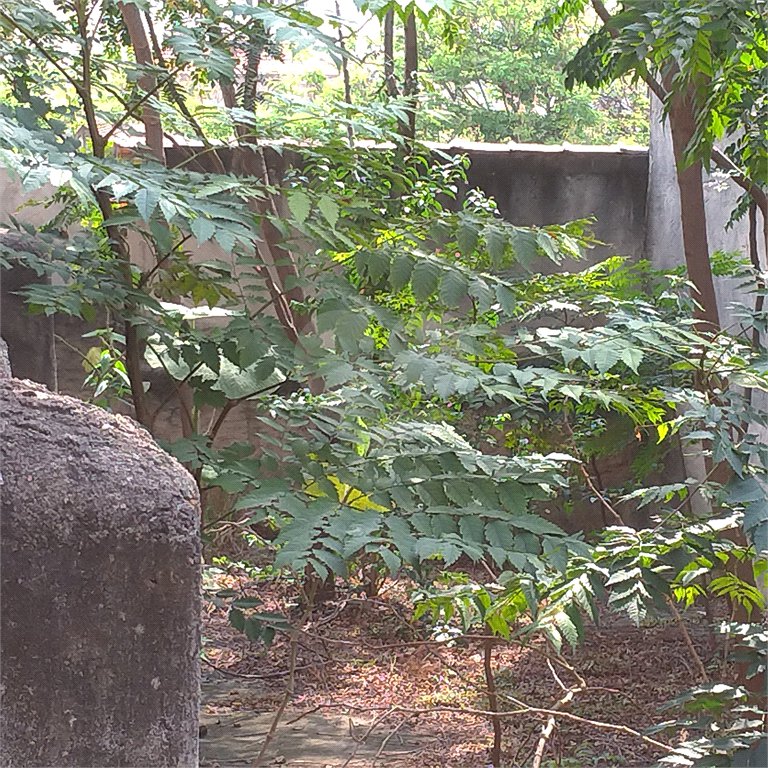 Terreno à venda em Casa Verde, São Paulo, SP