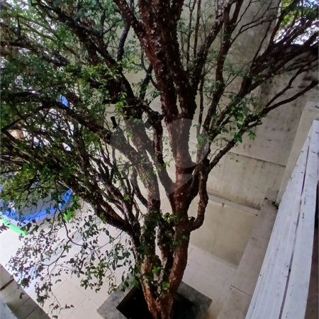 Sobrado à venda com 3 suítes em Vila Mariza Mazzei, São Paulo, SP