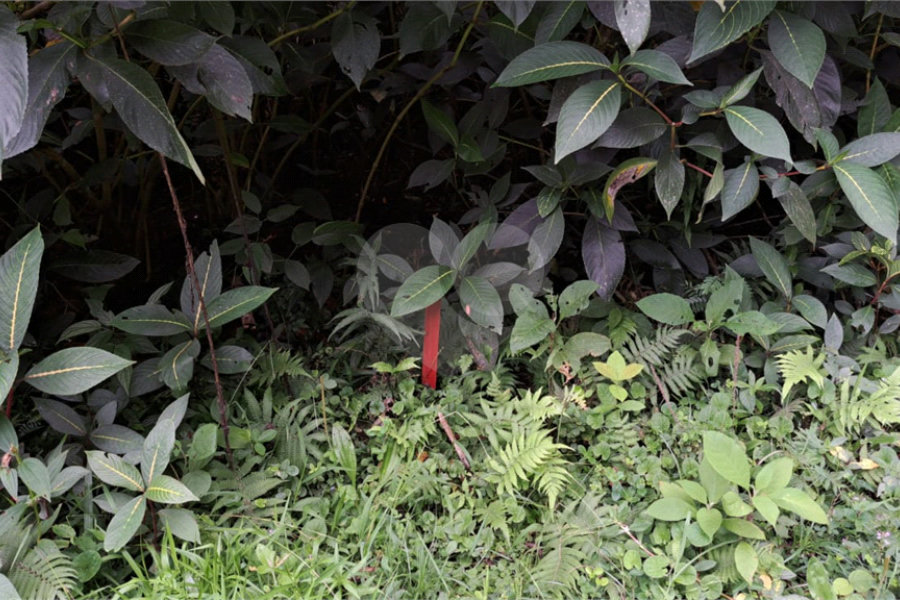 Terreno à venda no condomínio Campos de Mairiporã Gleba 1, Mairiporã - SP