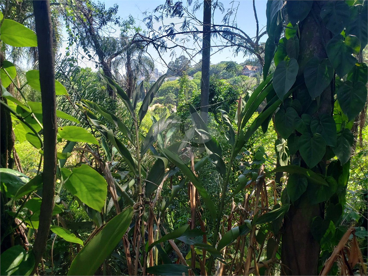 Terreno à venda em Morumbi, São Paulo, SP