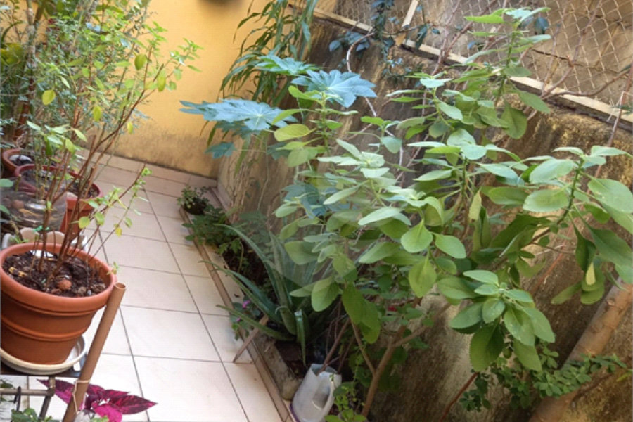 Sobrado à venda com 4 quartos em Tremembé, São Paulo, SP