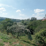 Terreno à venda em Observatório, Vinhedo, SP