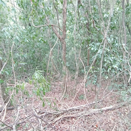 Terreno à venda em Chácaras Alpina, Valinhos, SP