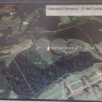 FAZENDA FORTALEZA, Caldas - MG