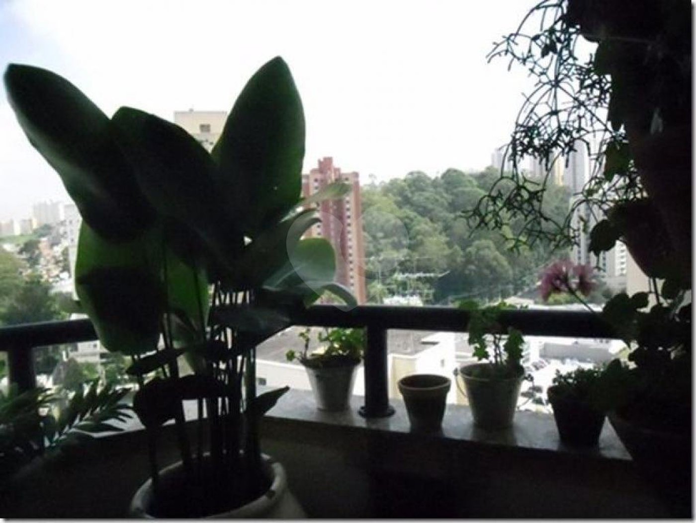 Apartamento à venda com 3 quartos, sendo 1 suíte, em Vila Andrade, São Paulo, SP