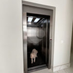 Casa à venda com 4 quartos, sendo 3 suítes, no condomínio Reserva Nova Cantareira, São Paulo - SP