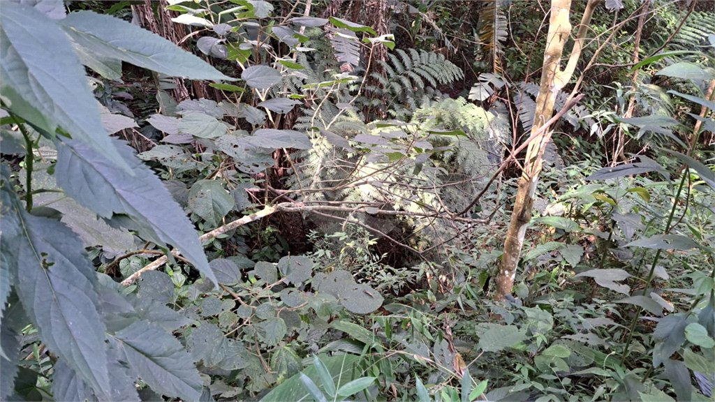 Terreno à venda em Serra da Cantareira, Mairiporã, SP