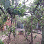 Casa à venda ou para alugar com 4 suítes no condomínio Residencial Vale das Laranjeiras, Indaiatuba - SP