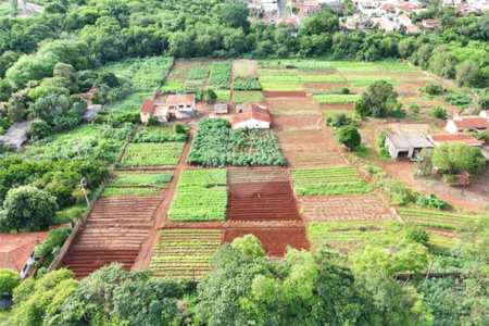 Terreno à venda em Jardim Itaú, Ribeirão Preto, SP