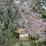 Casa à venda com 6 suítes em Serra da Cantareira, Mairiporã, SP